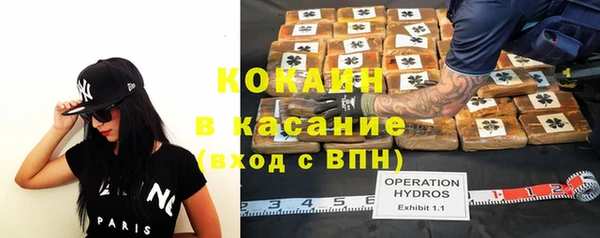 твердый Надым