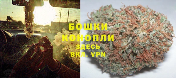 твердый Надым