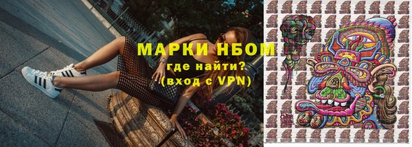 твердый Надым