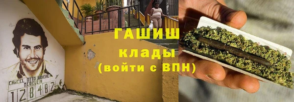 дмт Богородицк