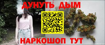 прущие крисы Гай