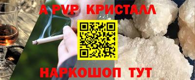 прущие крисы Гай