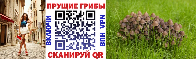 Галлюциногенные грибы Magic Shrooms  Лабинск 